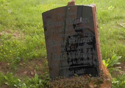 Lašťovka Milan, 2016