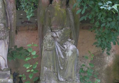 Lašťovka Milan, 2016