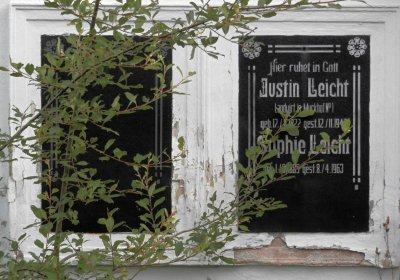 Lašťovka Milan, 2016