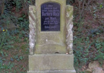 Lašťovka Milan, 2016