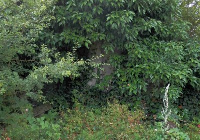 Lašťovka Milan, 2016