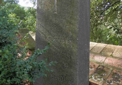 Lašťovka Milan, 2016