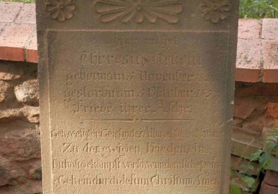 Lašťovka Milan, 2016