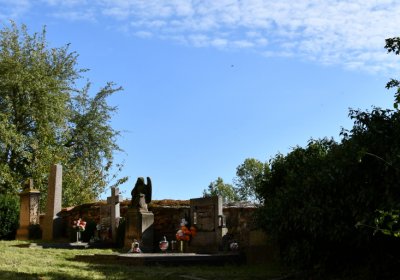 Bílenec, Omnium, 2020