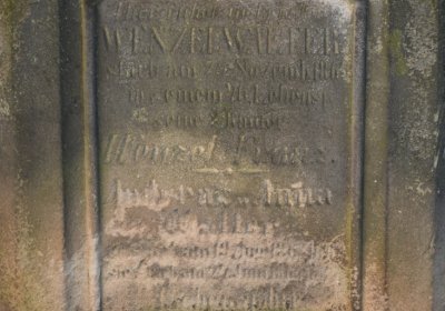 Bílenec, Omnium, 2020