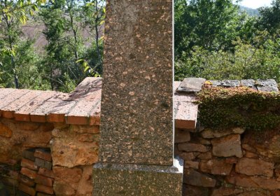 Bílenec, Omnium, 2020