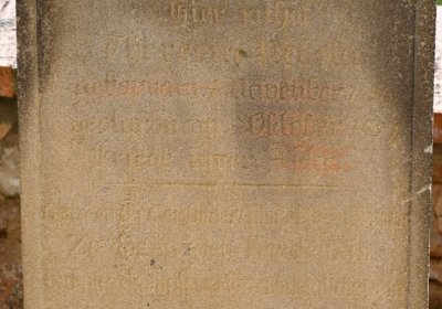 Bílenec, Omnium, 2020