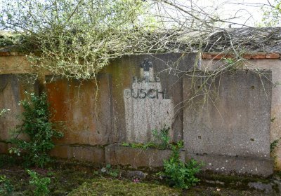 Bílenec, Omnium, 2020