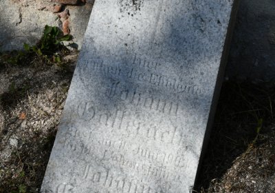 Bílenec, Omnium, 2020