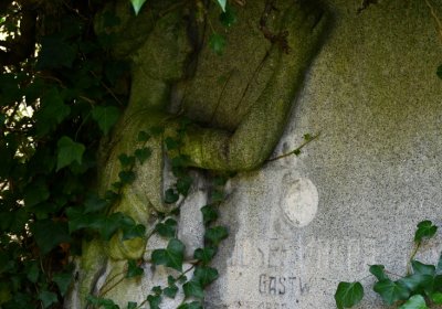 Bílenec, Omnium, 2020