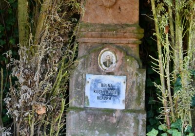 Bílenec, Omnium, 2020