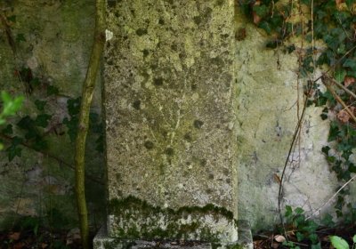 Bílenec, Omnium, 2020