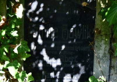 Bílenec, Omnium, 2020