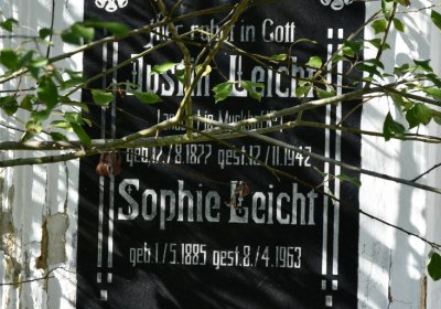 Bílenec, Omnium, 2020