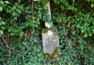 Bílenec, Omnium, 2020