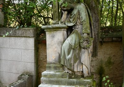 Bílenec, Omnium, 2020