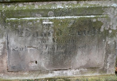 Bílenec, Omnium, 2020