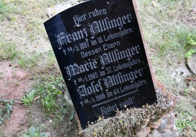 Bílenec, Omnium, 2020