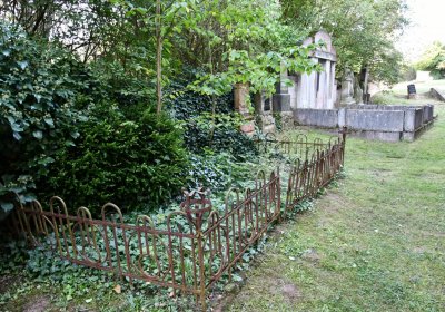 Bílenec, Omnium, 2020