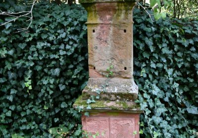 Bílenec, Omnium, 2020