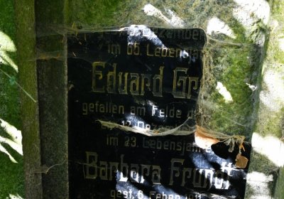 Bílenec, Omnium, 2020