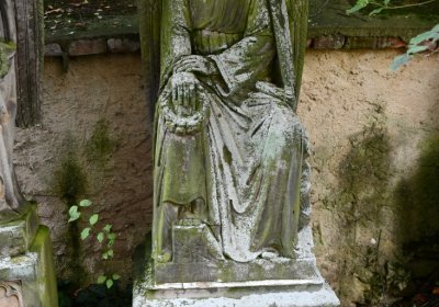 Bílenec, Omnium, 2020