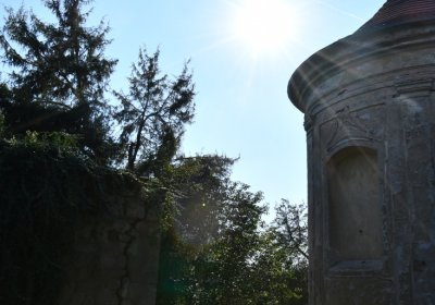 Bílenec, Omnium, 2020