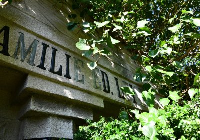 Bílenec, Omnium, 2020