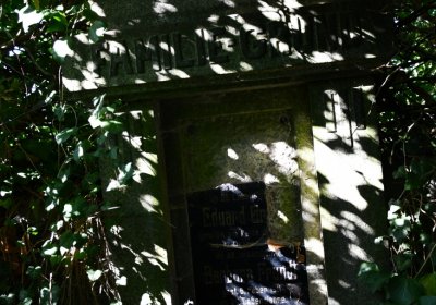 Bílenec, Omnium, 2020