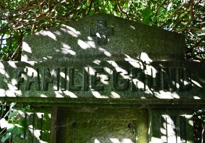 Bílenec, Omnium, 2020