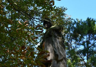 Bílenec, Omnium, 2020