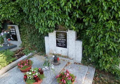 Lašťovka Milan, 2016