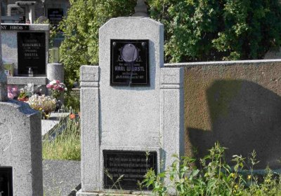 Lašťovka Milan, 2016