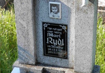 Lašťovka Milan, 2016