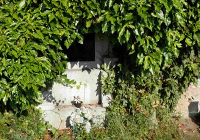 Lašťovka Milan, 2016