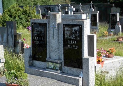 Lašťovka Milan, 2016