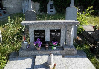 Lašťovka Milan, 2016