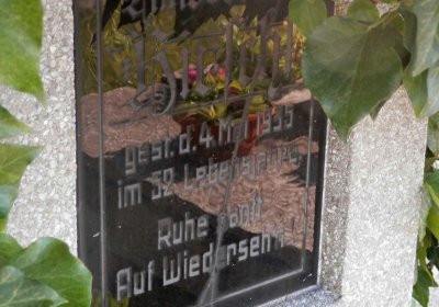 Lašťovka Milan, 2016