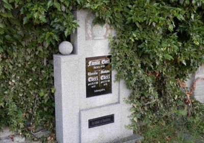 Lašťovka Milan, 2016