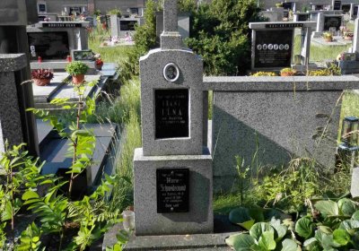 Lašťovka Milan, 2016