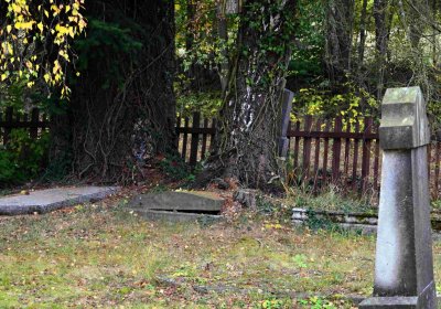 Šimůnek Tomáš, 2016