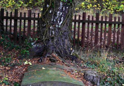 Šimůnek Tomáš, 2016