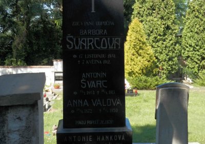 Lašťovka Milan, 2016