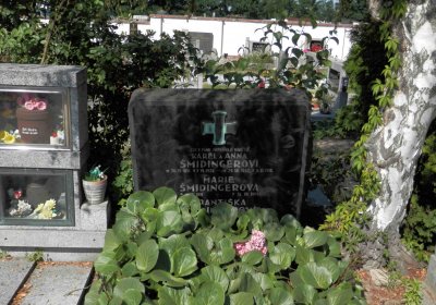 Lašťovka Milan, 2016