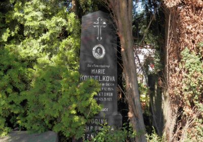 Lašťovka Milan, 2016