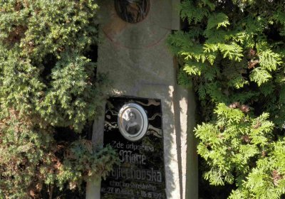 Lašťovka Milan, 2016