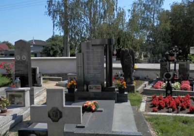 Lašťovka Milan, 2016