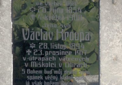 Lašťovka Milan, 2016