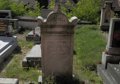 Lašťovka Milan, 2016