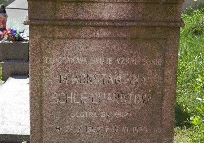 Lašťovka Milan, 2016